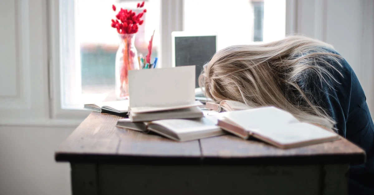 Work-and-Study,-çalışma-şartları-564.jpeg
